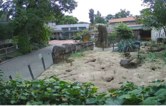 Imagen de vista previa de la cámara web Zagreb Zoo